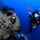 Illustration for article titled Great Barrier Reef Offers Scuba Divers Chance To See Beautiful Diversity Of Ocean Death